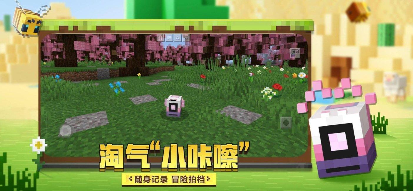 宠物狗查好过敏原后续需要做什么?